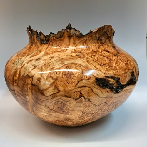 Click to view detail for JW-227 Aspen Burl Hollow Woodturning 10x12 $1400